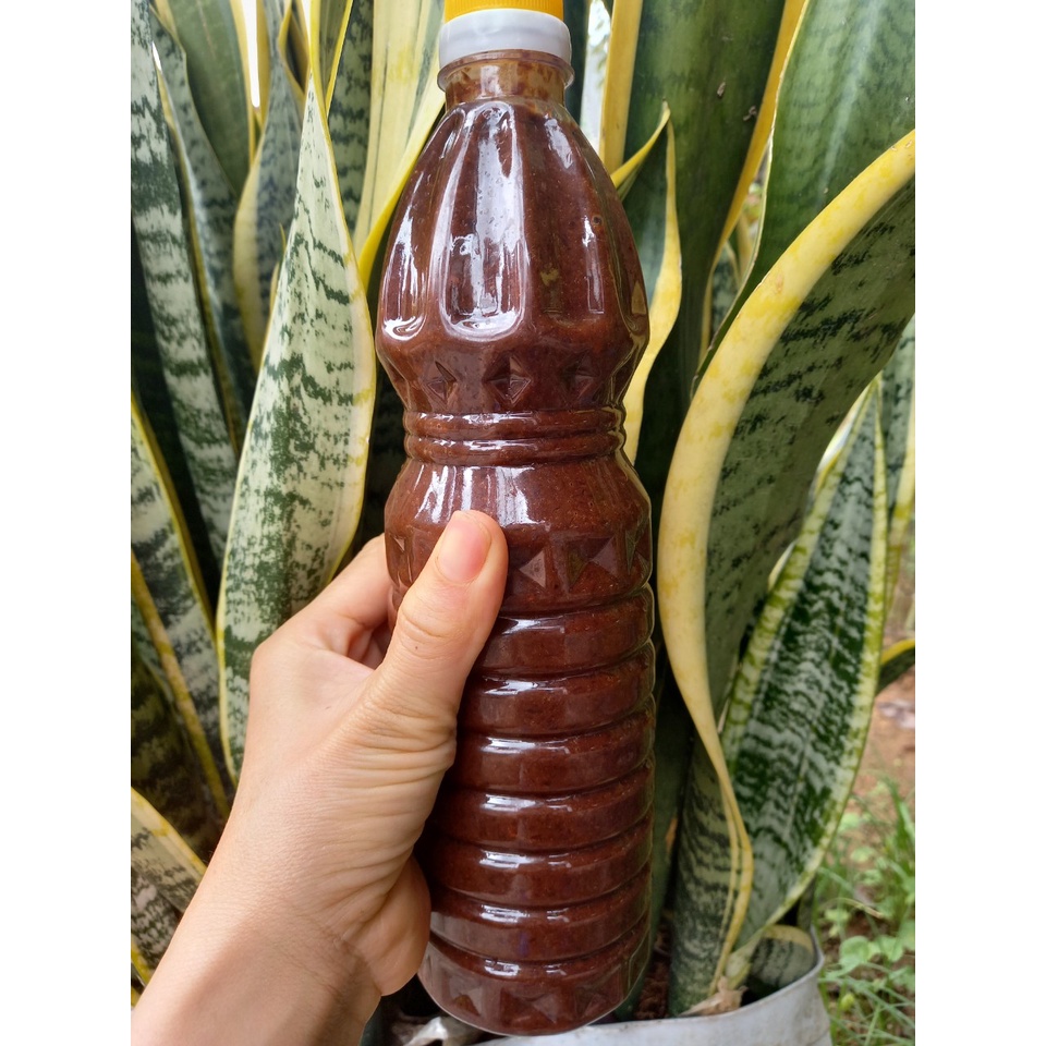 Mắm ruốc chua cay truyền thống làng nghề Phú Lợi, chai 1 lít cam kết sạch, đảm bảo an toàn VSTP_ mắm tép xứ Nghệ