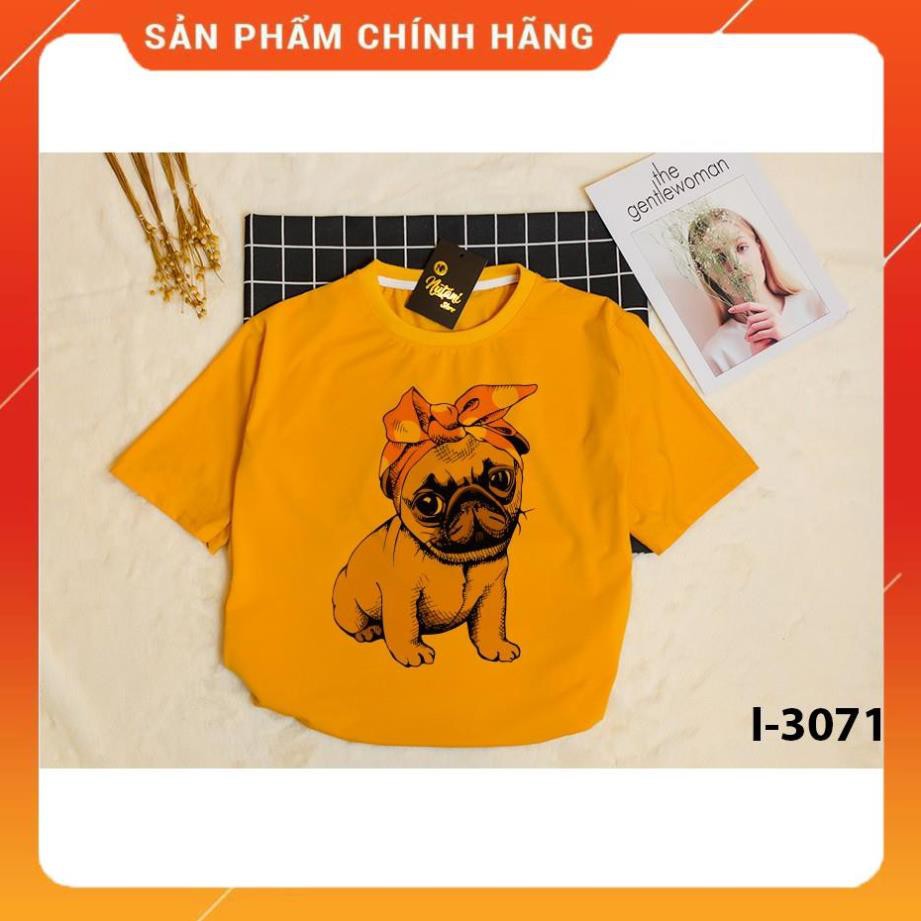 I3071 Áo Thun Unisex Chất Lừ