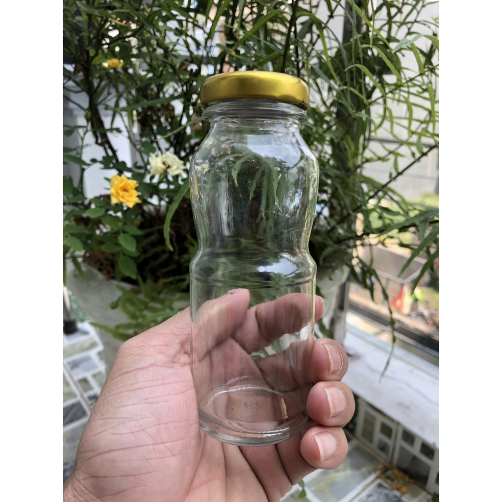 COMBO 10 CHAI THỦY TINH 200ML NẮP VÀNG