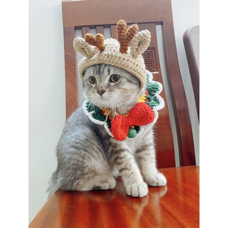 Nón len nhiều mẫu cho mèo, cún, thỏ,....