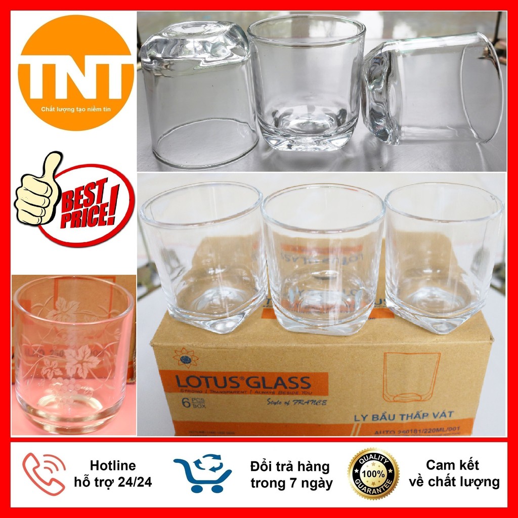 Bộ 6 Cốc Thủy Tinh Bầu Thấp Việt Tiệp Cao Cấp
