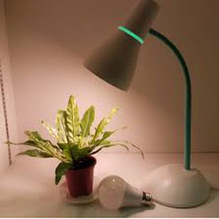 Đèn Bàn Học Sinh Philips 71567 (Tím, Xanh)