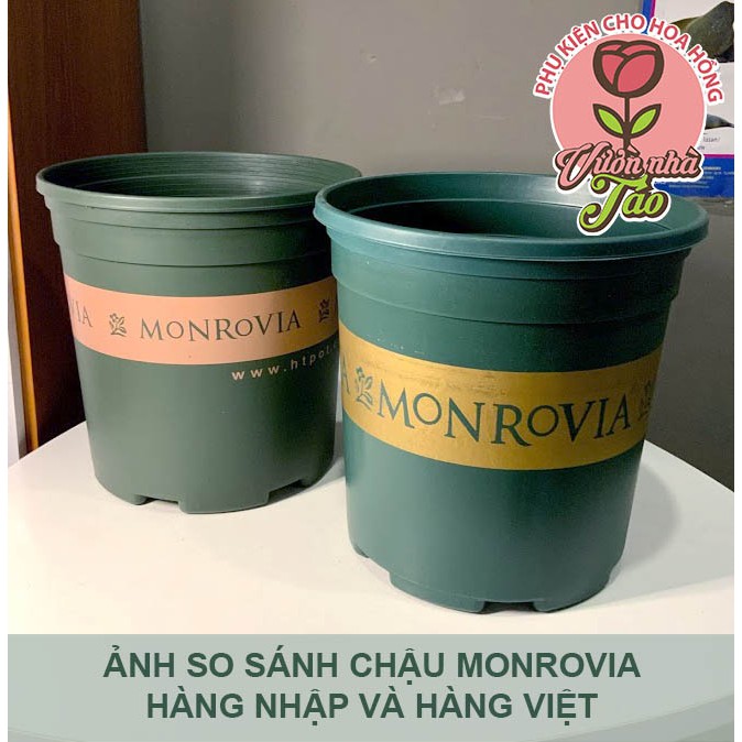 Chậu Monrovia hàng Việt size 1gl -1,5gl-2gl [ 2 màu đen và xanh]