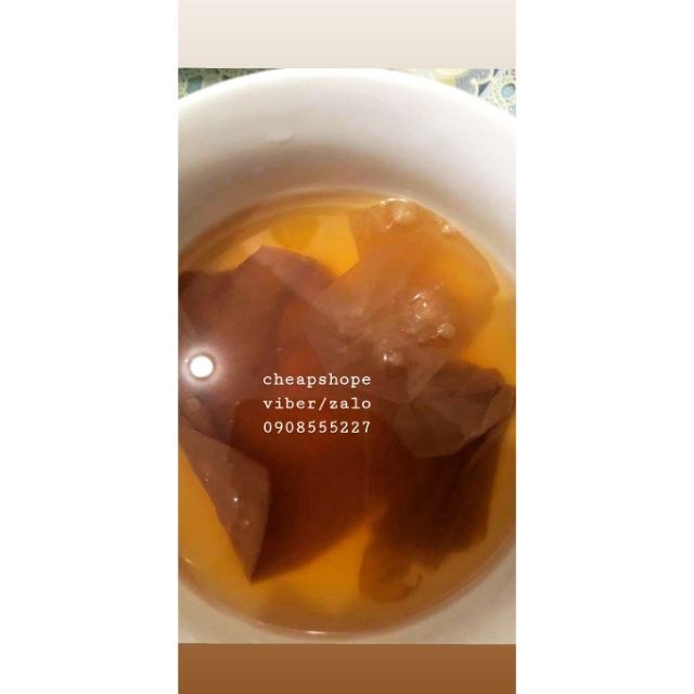 NẤM THỦY SÂM KOMBUCHA (SIZE NHỎ)+ TẶNG KÈM NƯỚC CỐT NGUYÊN CHẤT XỊN XÒ, NẤM KHỎE CHẤT LƯỢNG, | BigBuy360 - bigbuy360.vn