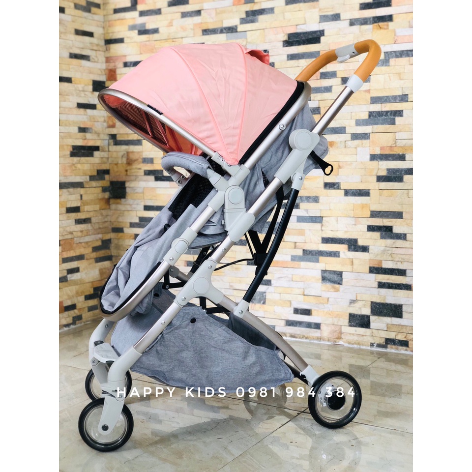 XE ĐẨY 2 CHIỀU 3 TƯ THẾ DÁNG NÔI TIANRUI TR20