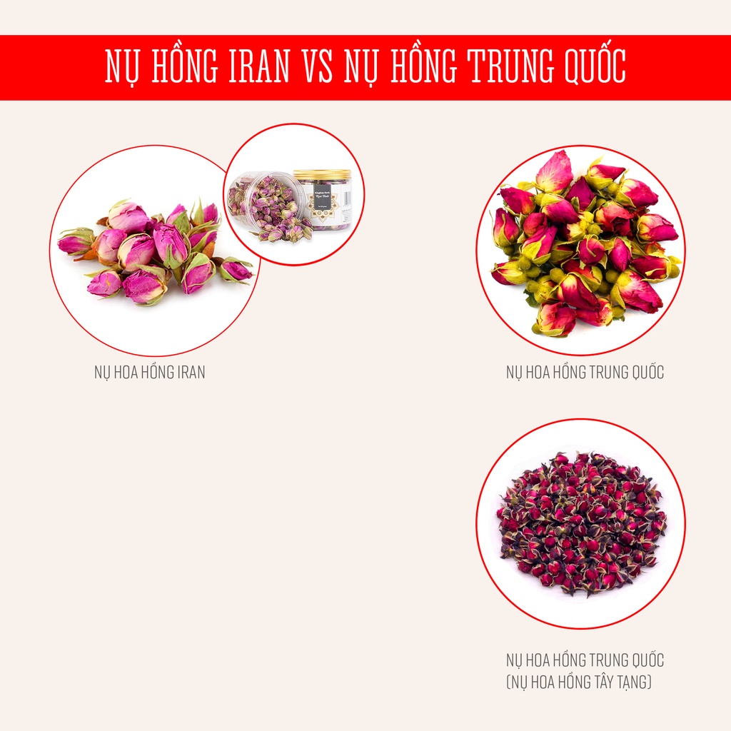 Nụ hoa hồng khô Kingdom Herb Iran chính hãng, trà hoa hồng khô hộp mẫu thử 3g