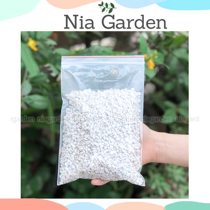 Đá Perlite đá trân châu giá thể trồng cây sen đá xương rồng mini Nia Garden N6
