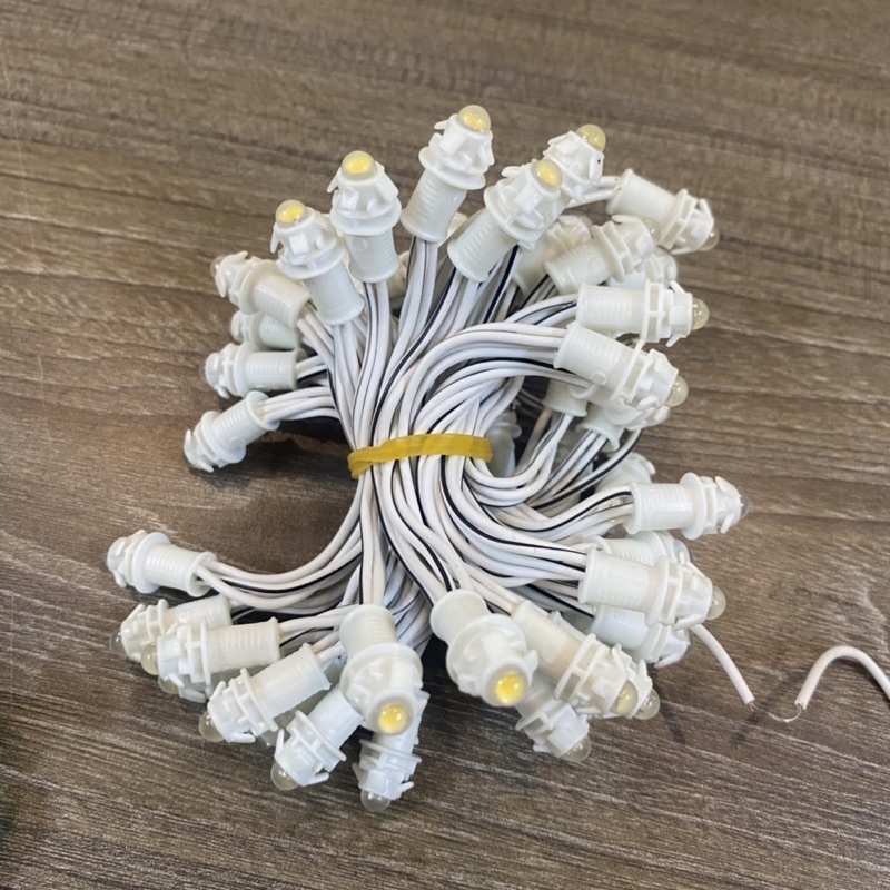 LED đúc Chống Nước F5 điện 12V (Dây 3 mét, 50 bóng)