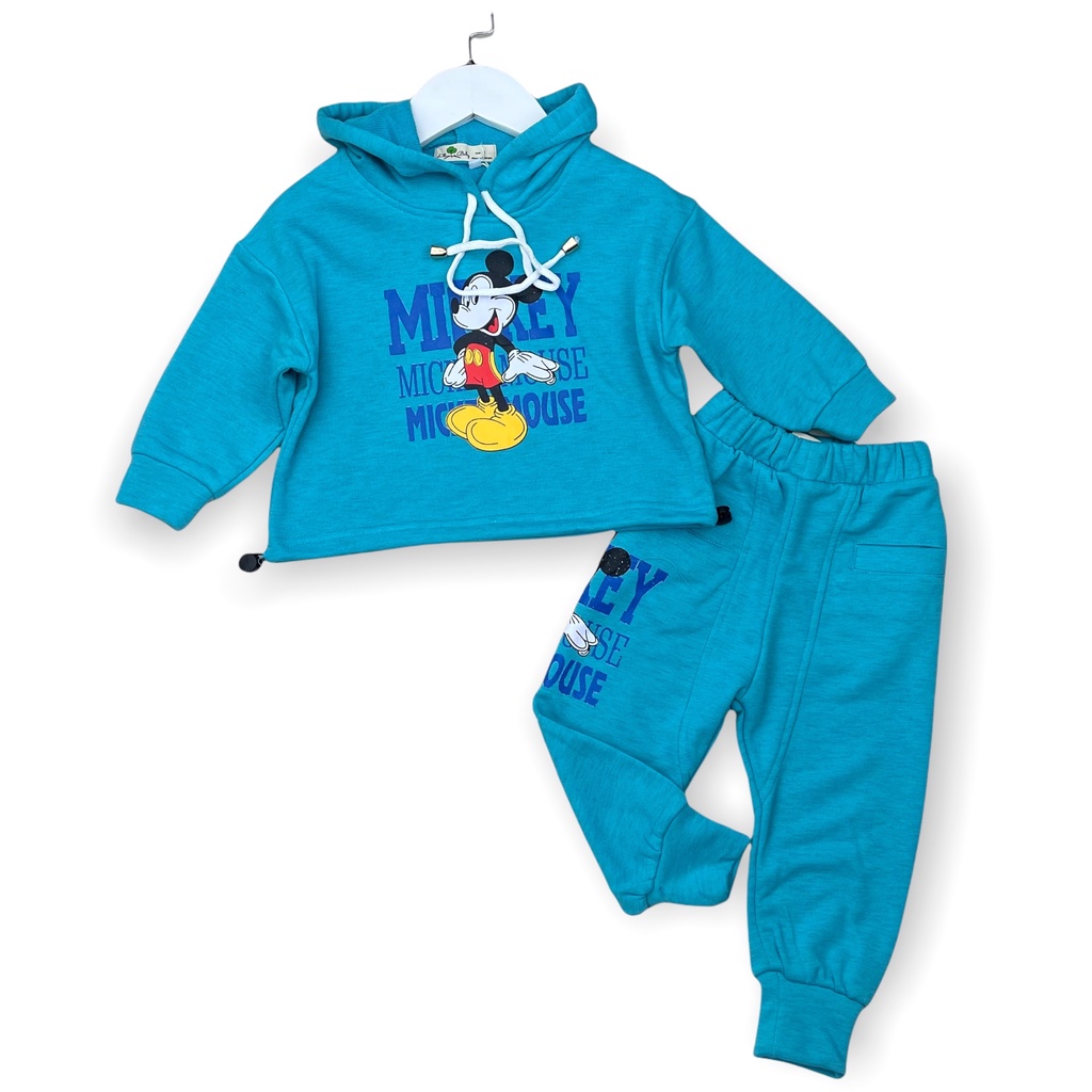 Bộ quần áo bé gái LITIBABY, chất nỉ, hình Mickey. Size 3 - 10 tuổi