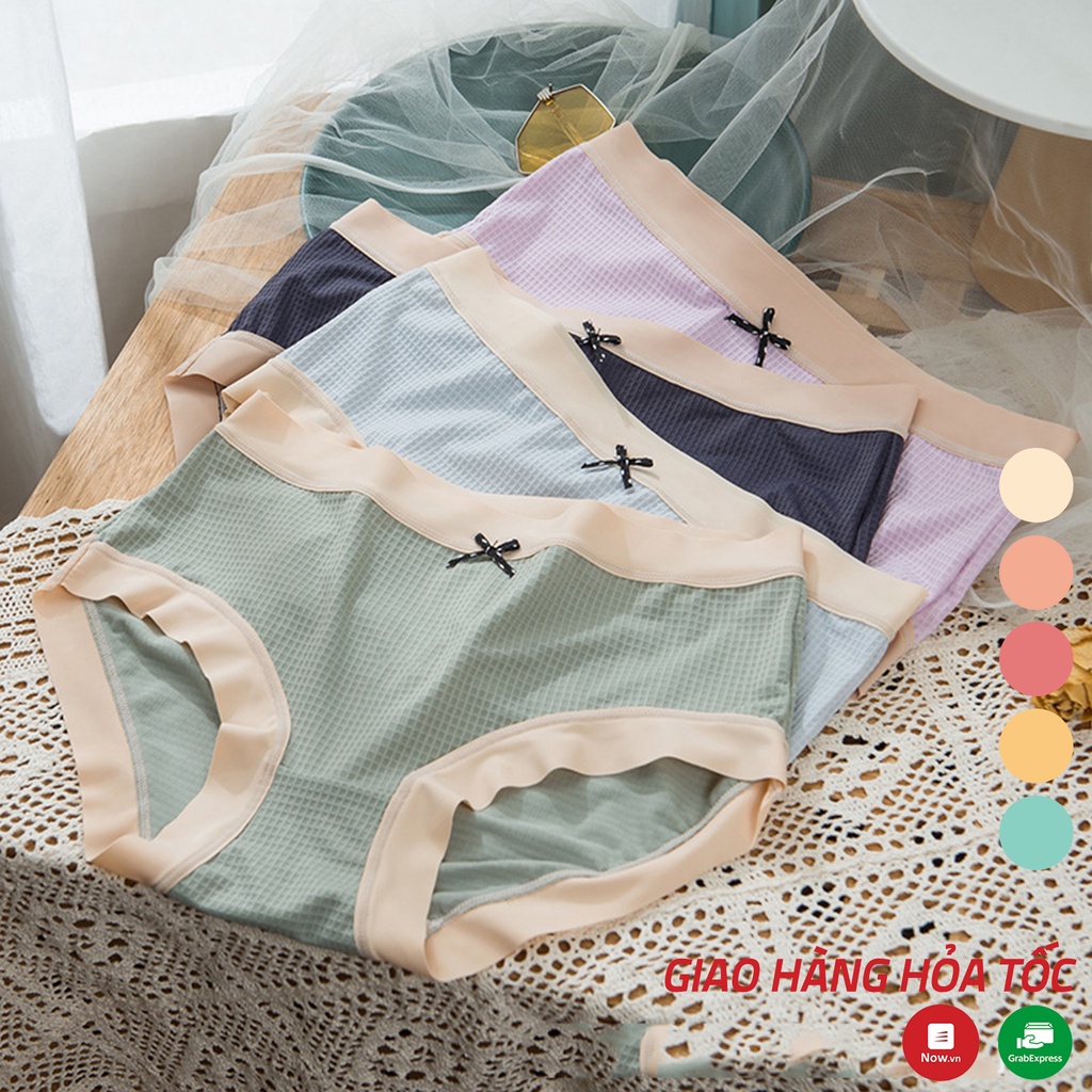 Quần lót nữ phối viền màu chất liệu co giãn thấm hút, kháng khuần chất lượng cao - Xuu Design QC09