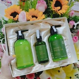 Combo bưởi chanh xả vijully trị rụng tóc, kích mọc tóc con