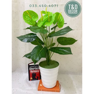 Cây giả- Cây môn xanh 70cm