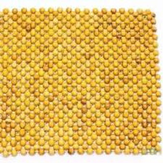 Đệm Lót Ghế Hạt Gỗ Pơ Mu Hạt 1,8cm - Kích thước 45cm x45cm  ( Mian.vn )