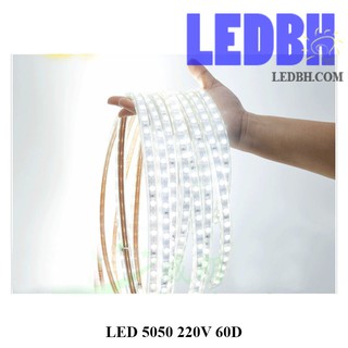 10 m LED 5050 60D/m chỉ việc cắm điện sử dụng ( màu Trắng, Vàng, Xanh Dương, Đỏ)