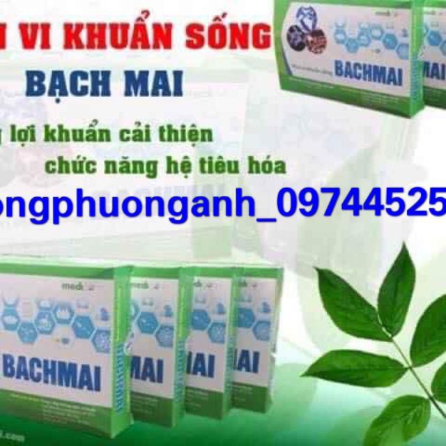 Men Vi sinh sống Bạch Mai