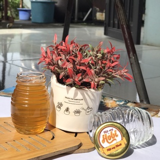 Mật ong Khoái Hobi 100ml [thu mật tại rừng]