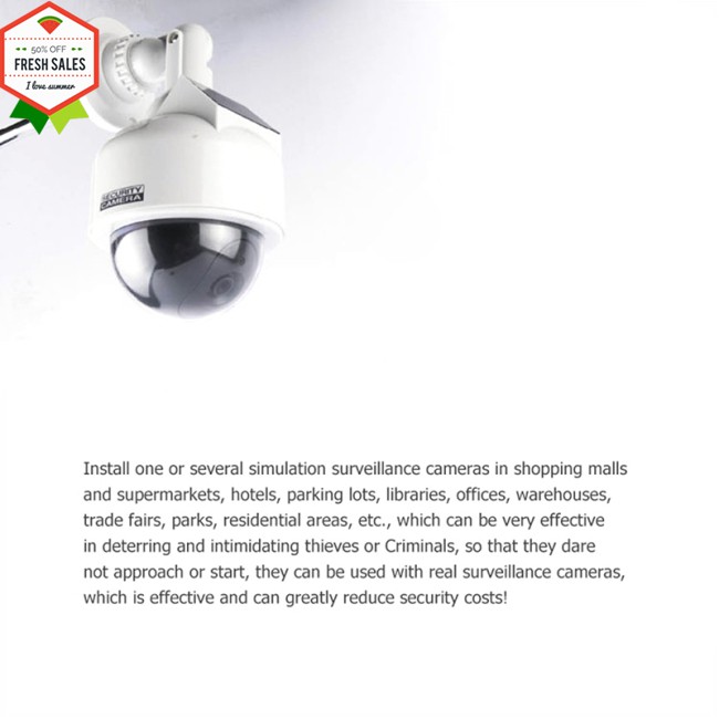 Camera Giám Sát Giả Đa Năng Có Đèn Flash | BigBuy360 - bigbuy360.vn