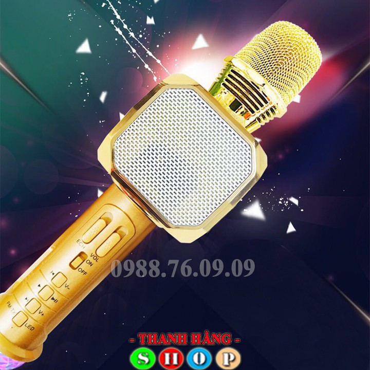 Mic Karaoke Bluetooth SD 10L