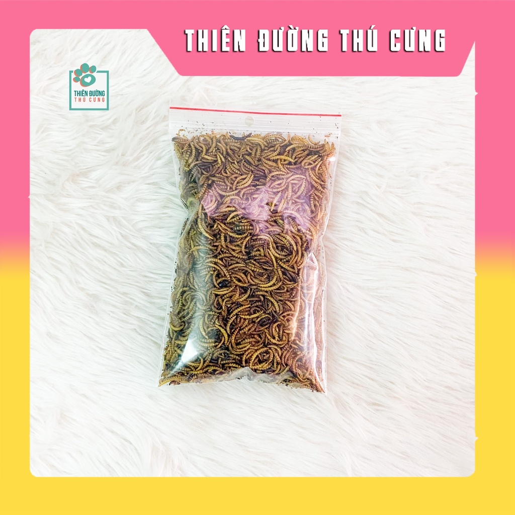 Sâu Rang Bơ Cho Hamster 40gr