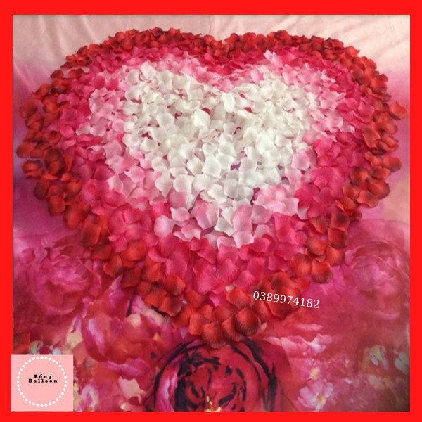 Cánh Hoa Hồng lụa ❤️ Combo 100 cánh hoa hồng giả trang trí phòng cưới,đám cưới