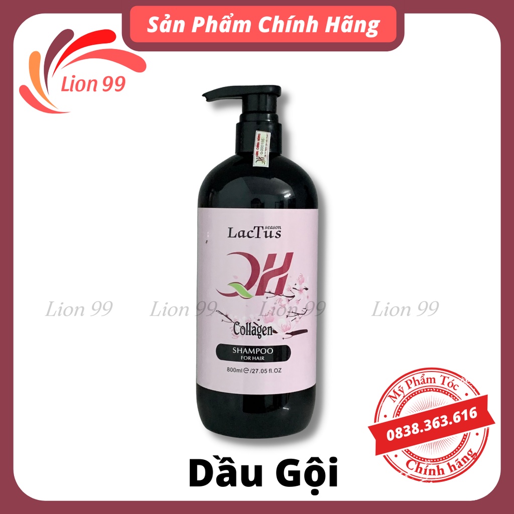 Cặp dầu gội xả collagen QH Lactus season giảm rụng tóc 800ml