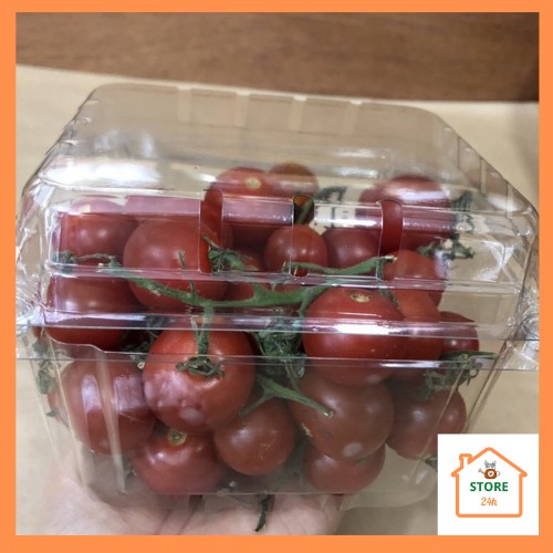 [Bộ 50 hộp nhựa 500g & 1kg] đựng trái cây, rau củ quả, thực phẩm, trong suốt an toàn, tiện lợi.