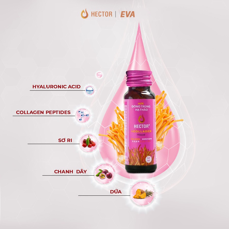 Nước đông trùng hạ thảo HECTOR COLLAGEN, nước hector collagen trẻ hoá làn da, 1 chai 50ml