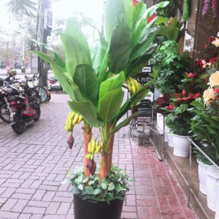 Cây giả - Cây chuối quê cao 1,6met