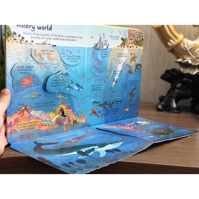 Sách lật mở Look Inside Our World Usborne tìm hiểu kiến thức về thế giới quanh em hỗ trợ học tiếng anh