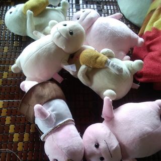 Gấu bông của ngọc thêm