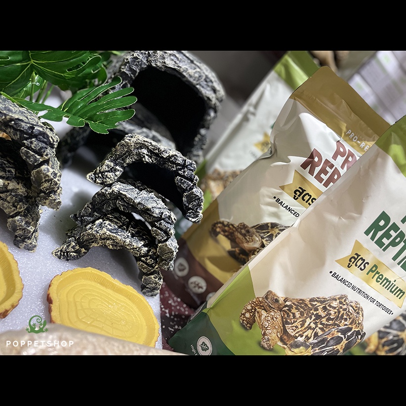 Thức Ăn Rùa Cạn Pro-Reptile 1kg  Rùa cạn Rùa châu phi, da báo, chân đỏ, ấn độ, núi vàng