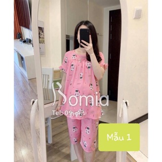 Bộ lanh bầu ngố 01