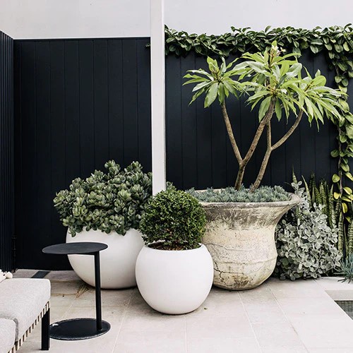 Chậu Trồng Cây Xi Măng DT007