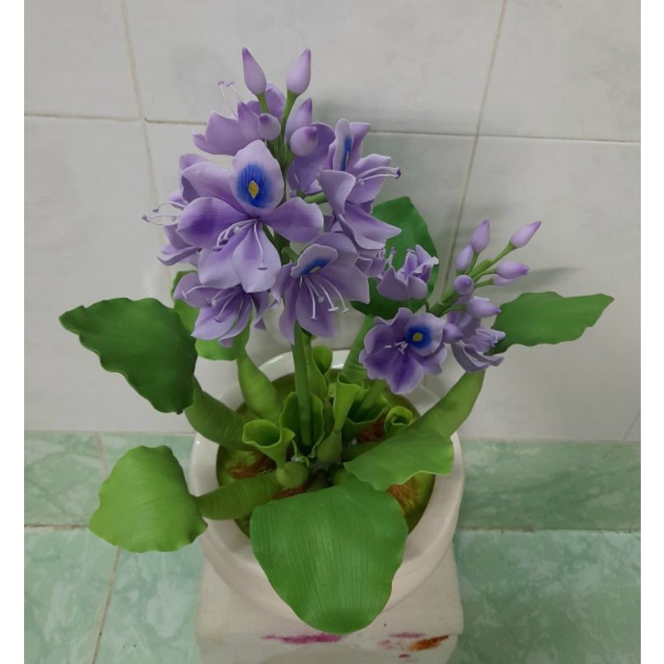 Chậu hoa lục bình đất sét