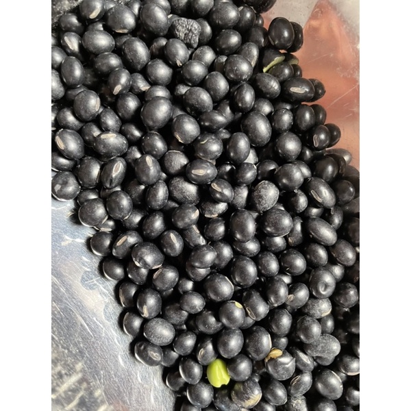 ĐẬU ĐEN XANH LÒNG ,THUẦN CHỦNG HỮU CƠ TỰ NHIÊN (100GR)