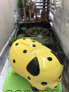 Heo đất chó đóm vàng size L ( 24x15x17 )