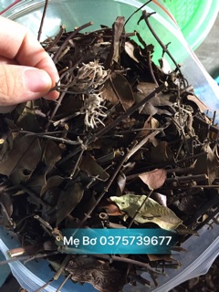 Chè vằng sẻ Nghệ An