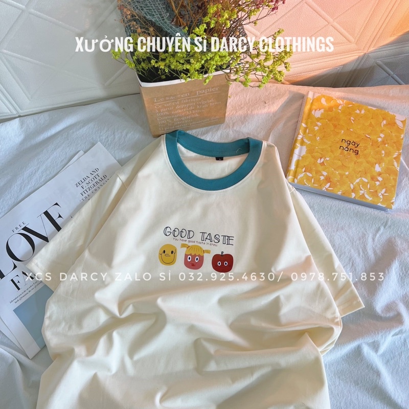 áo thun cotton phối cổ  FREESHIP  áo thun cotton 4 chiều GOOD TASTE