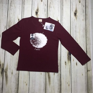 Áo thun cotton hàng QC đẹp sale 50k