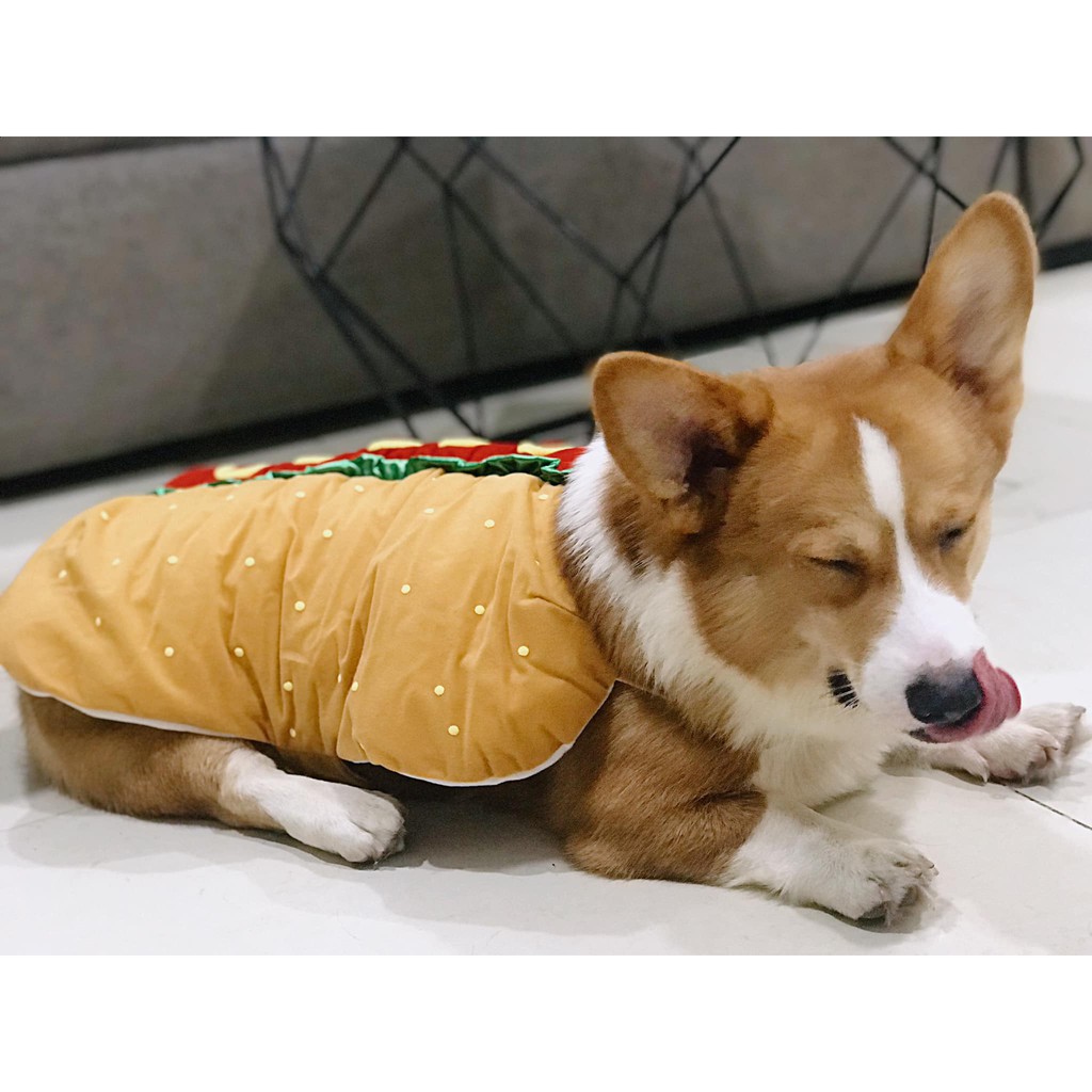Áo Hotdog Big size - Áo Cho Chó To Mùa Đông Giữ Ấm - Áo Cho Chó Lớn