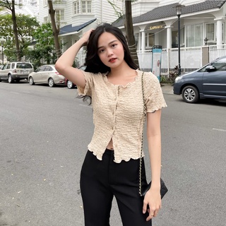 Áo thun xốp cổ tròn gài khuy zareen thu116 xốp kem
