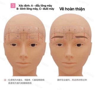 Thước đo ,dán ,vẽ lông mày (10 cái)