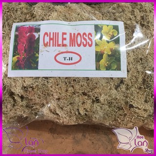 Dớn Chile 100gram ( giá thể trồng lan ), Dớn Chi Lê,Vật Dụng Trồng Phong Lan,Giữ Ẩm Cực Tốt Cho Lan Hồ Điệp