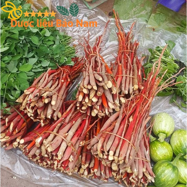 Sâm cau đỏ Tây Bắc 1kg, 1kg sâm cau đỏ ngâm rượu Lai Châu loại 1