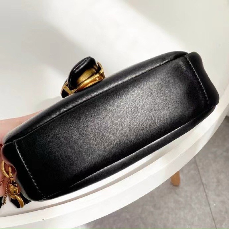 Túi Co ach pillow tabby