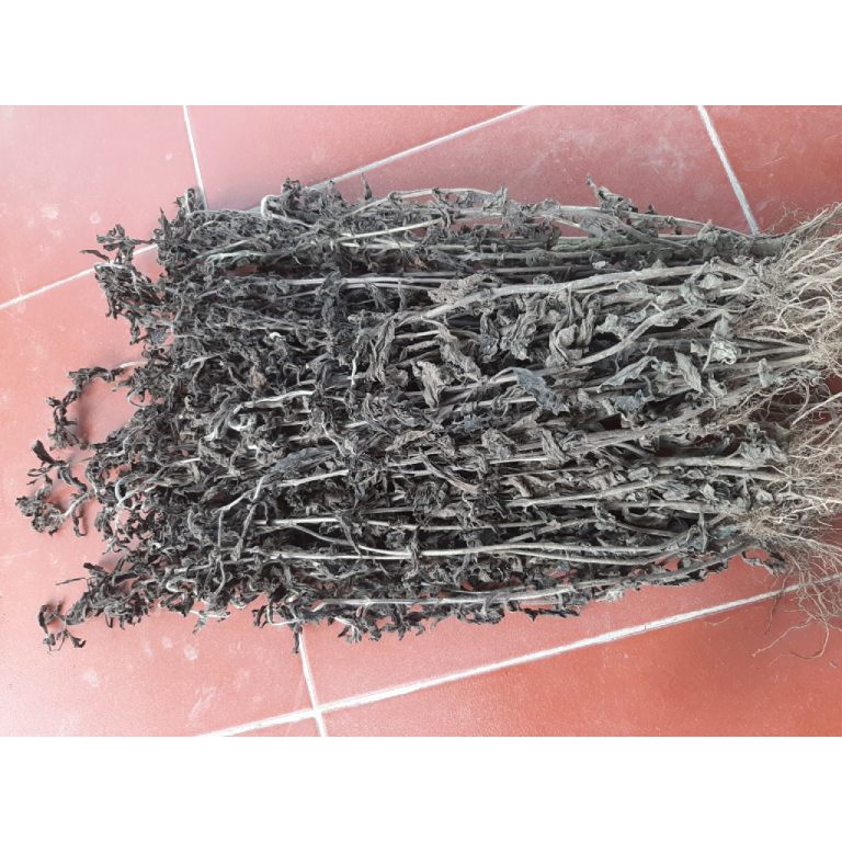Nhân trần khô thượng hạng Sasuke 1kg tốt cho gan