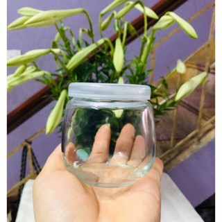 Combo 10 hũ thủy tinh/ Lọ thủy tinh béo caramen sữa chua 200ml