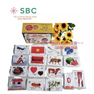 Thẻ học thông minh 16 chủ đề 416 thẻ