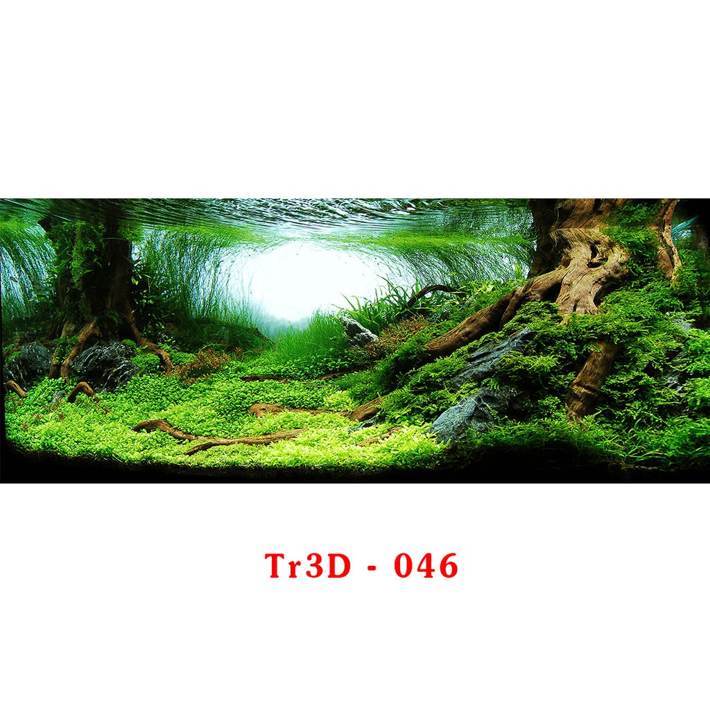 Tranh 3D hồ cá kích thước 100x60