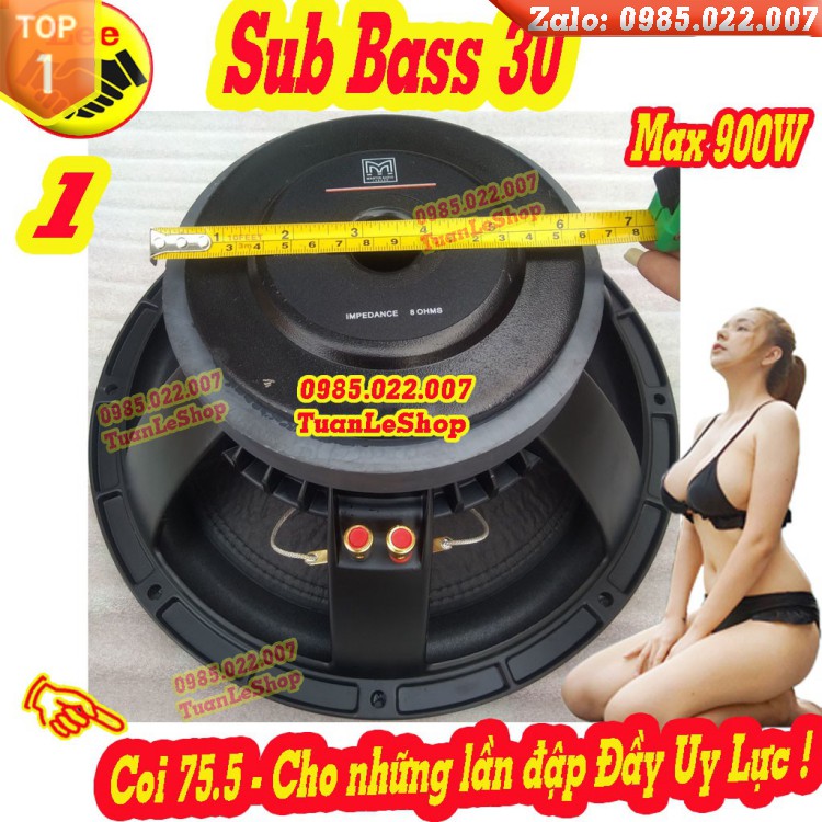 LOA SUB BASS 30 MARTIN KHUNG NHÔM CÔN 76 TỪ 170 CAO CẤP – GIÁ 01 CHIẾC